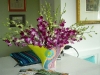 c-orchids-1