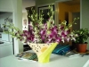 d-orchids-2