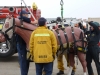 p1000044