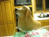 new-home-4