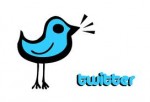 twitter bird