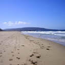 Herondo Footsteps